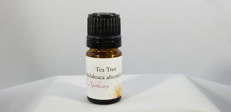 Tea Tree ~ Melaleuca alternifolia