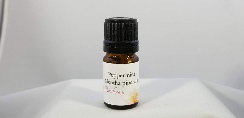 Peppermint ~ Mentha piperata